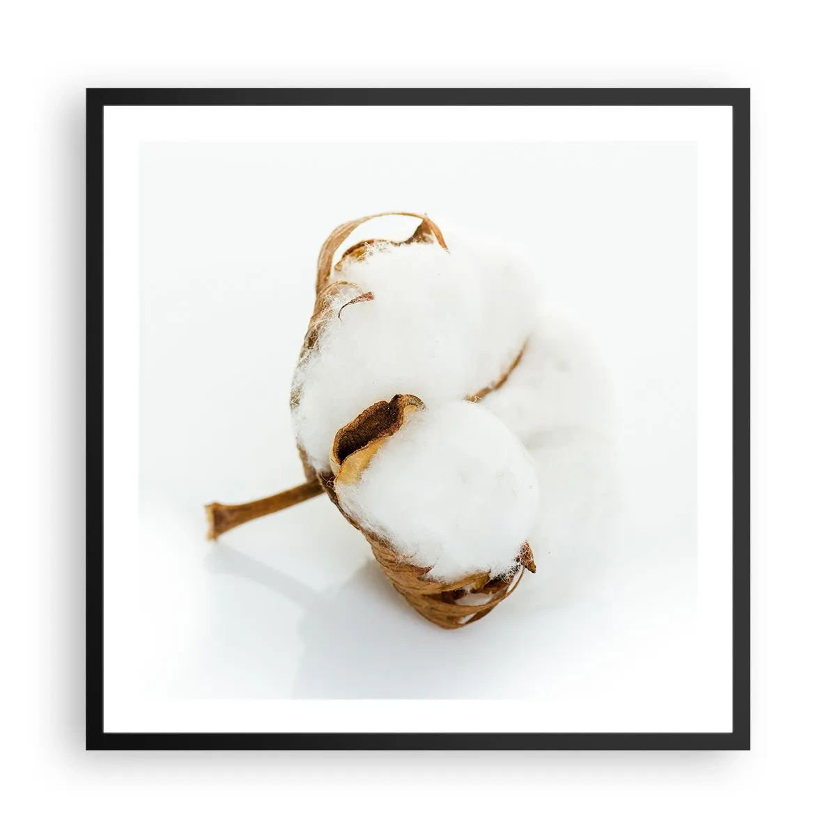 Affisch i svart ram - Mjuk av naturen - 60x60 cm