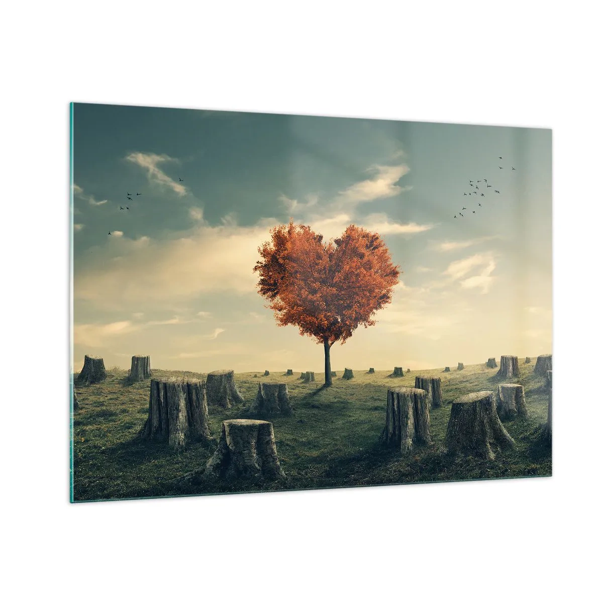 Glastavla - Bild på glas - Det finns fortfarande hopp - 100x70 cm