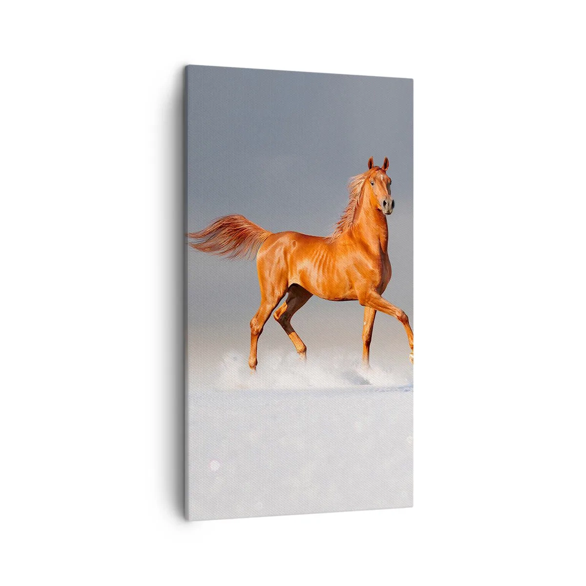 Canvastavla - Bild på duk - Dansande grace - 45x80 cm