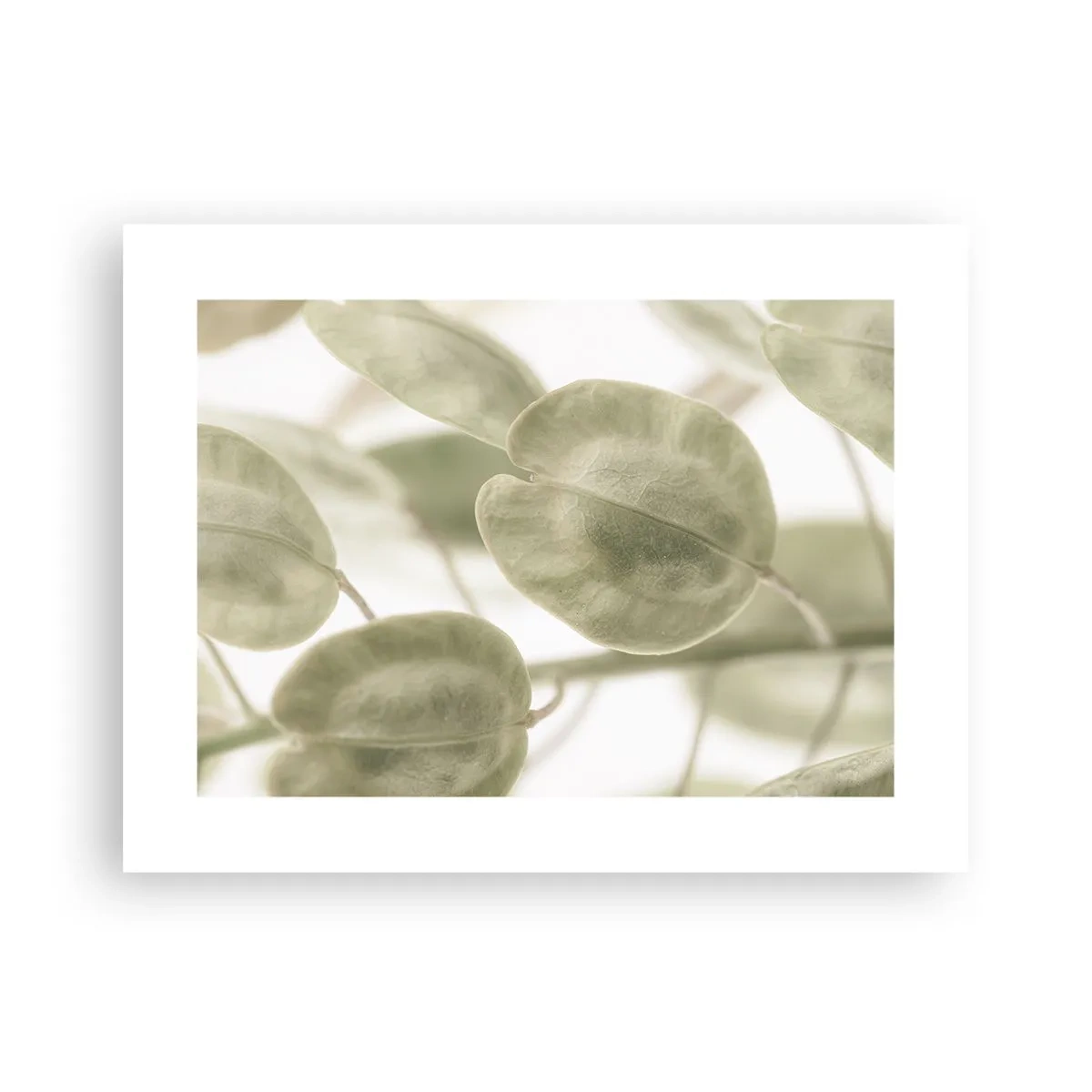 Affisch - I början fanns det löv... - 40x30 cm