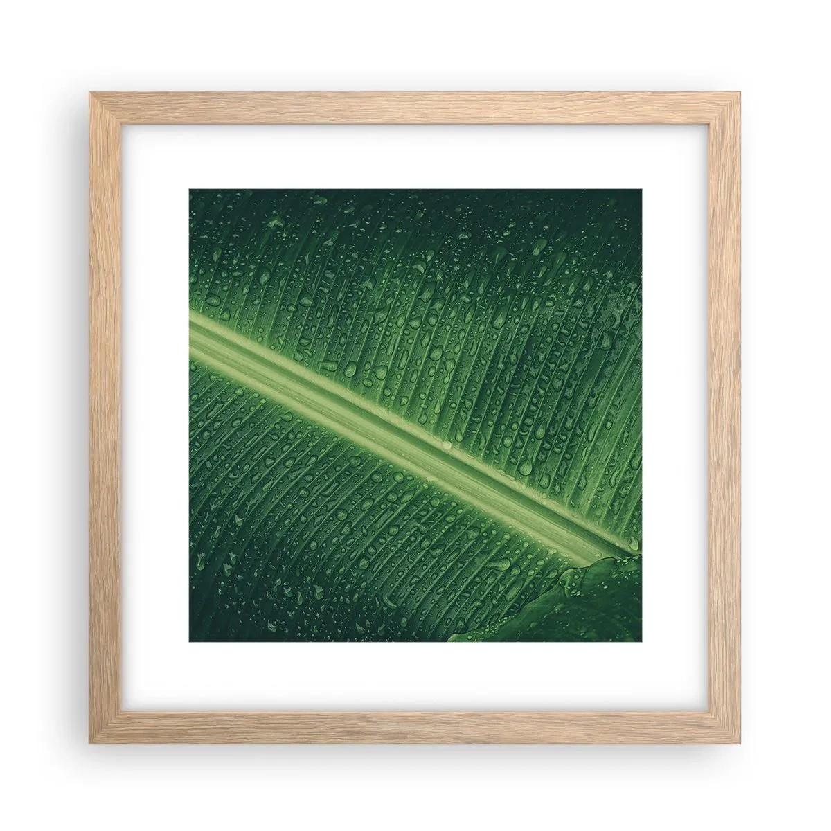 Affisch i ram av ljusek - Grönskans struktur - 30x30 cm