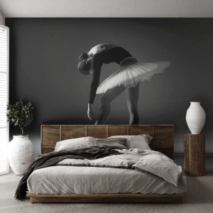 Fototapet Standard Eco - Bella ballerina - Ballerina, Balett, Dansa - 500x350 cm