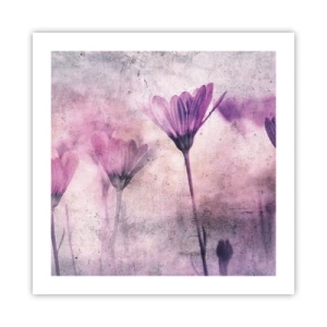Affisch - Blommornas sömn - 50x50 cm