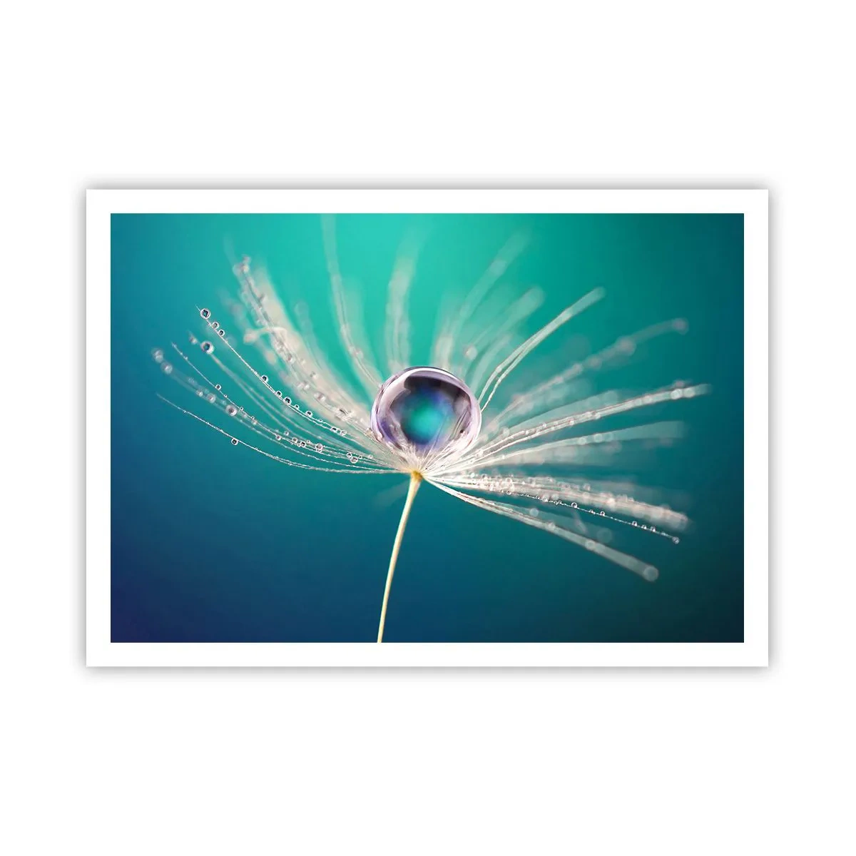 Affisch - Mystisk stund - 100x70 cm