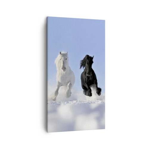 Canvastavla - Bild på duk - Svart-vit galopp - 45x80 cm