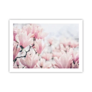 Affisch - Perfekt subtilitet - 70x50 cm