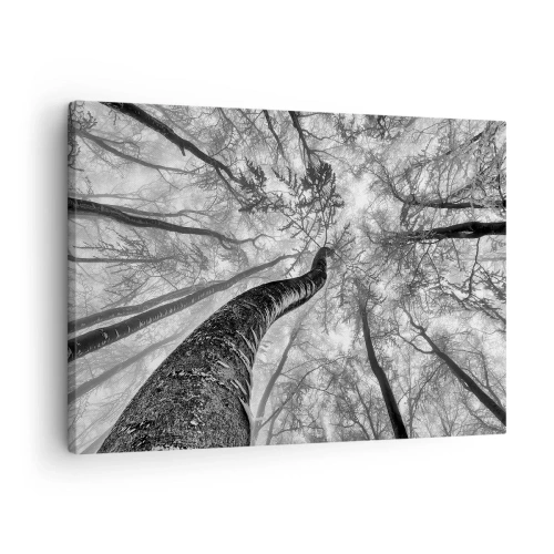 Canvastavla - Bild på duk - Perspektiv av träd i en skog sedd underifrån i grå nyanser - 70x50cm - Kapplöpning mot ljuset - Modern väggdekoration för vardagsrum och sovrum ARTTOR