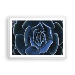 Affisch i vit ram - Öknens blomma - 70x50 cm