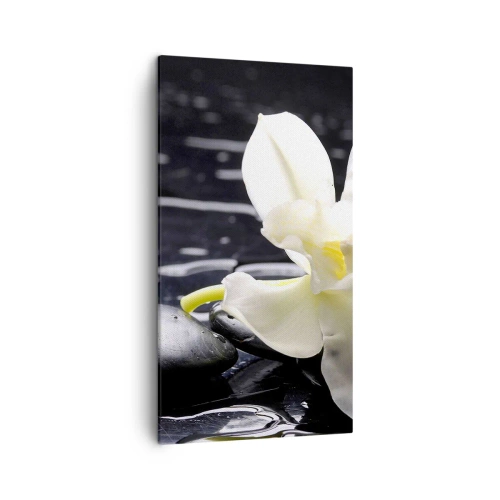 Canvastavla - Bild på duk - Ett studie i svart och vit - 45x80 cm