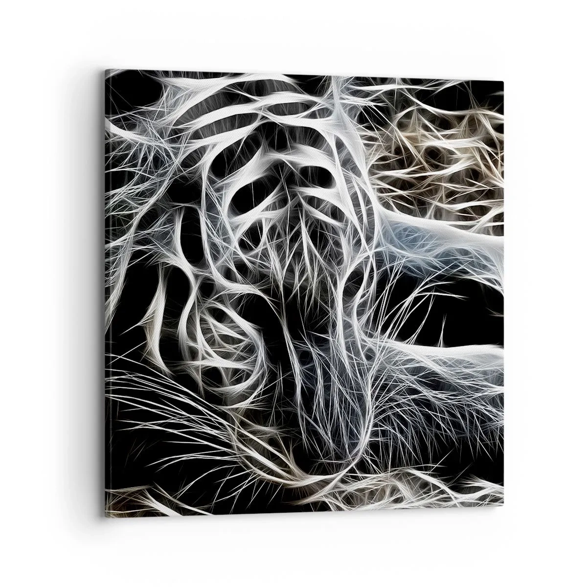 Canvastavla - Bild på duk - En studie om kattens lätthet - 70x70 cm