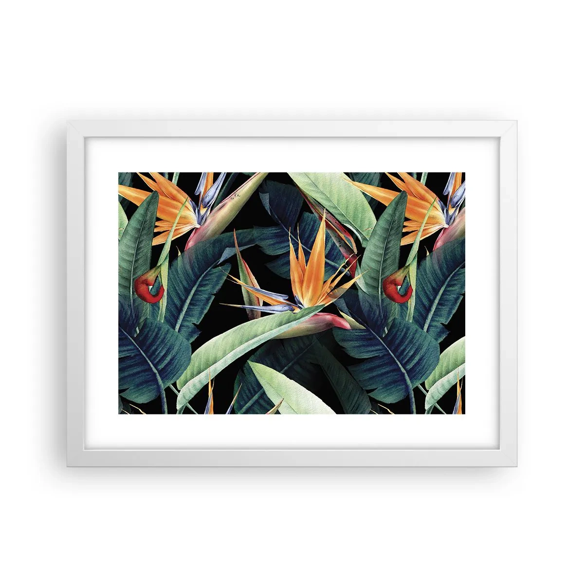 Affisch i vit ram - Tropikens brinnande blommor - 40x30 cm