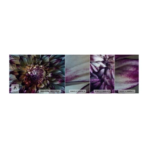 Provbit av fototapet Premium Canvas - Blommande ungdom - Blommor, Dahlia, Blommande blomma - 100x30 cm