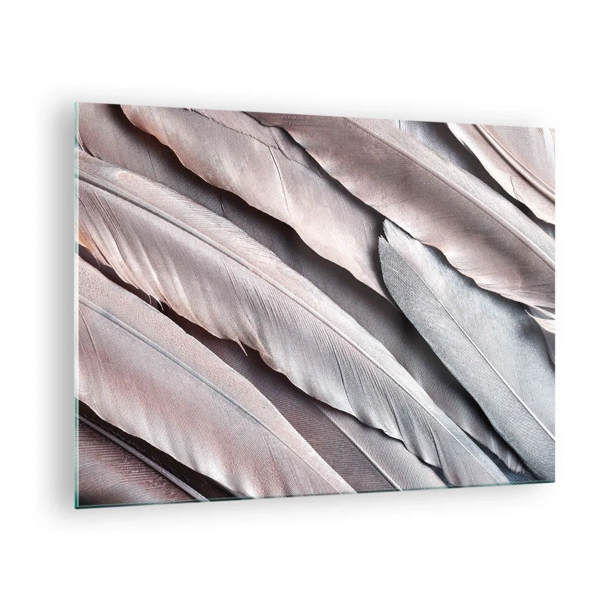 Glastavla - Bild på glas - Närbild av pastellfärgade fjädrar i nyanser av rosa och silver - 70x50cm - I rosa silver - Modern väggdekoration för vardagsrum och sovrum ARTTOR