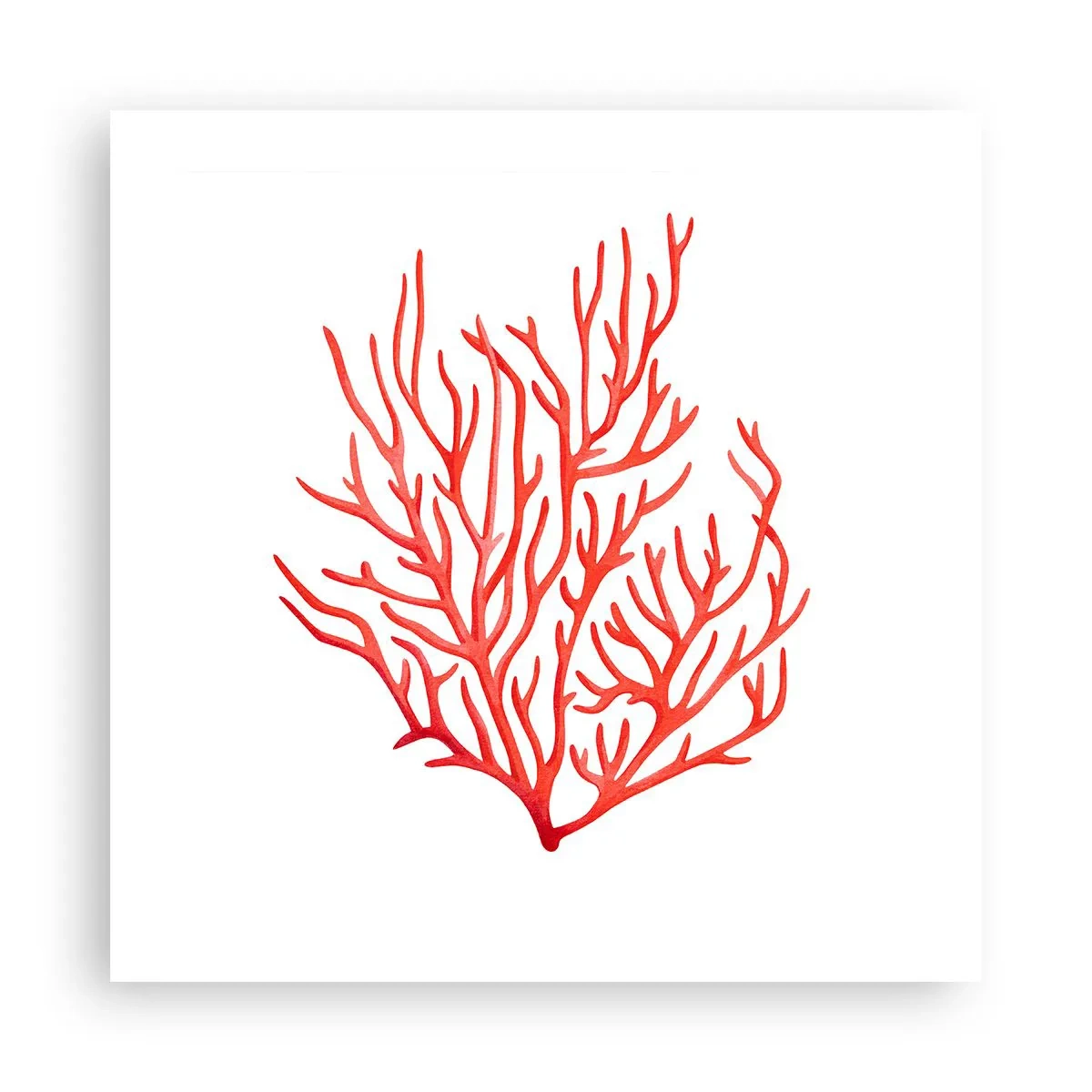 Affisch - Filigran av korall - 50x50 cm