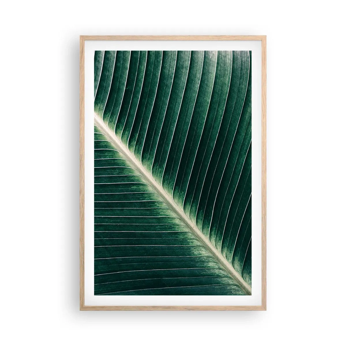 Affisch i ram av ljusek - Naturens rytm - 61x91 cm