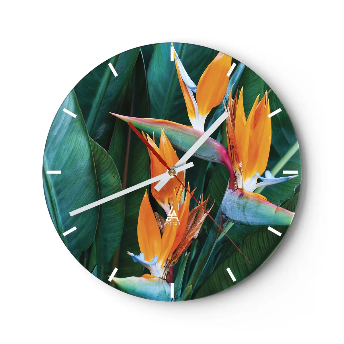 Väggklocka - Klocka på glas - Exotiska strelitziablommor mot en bakgrund av gröna blad - 30x30cm - Är det en blomma, eller en fågel? - Modern väggdekoration för vardagsrum, kök och sovrum ARTTOR