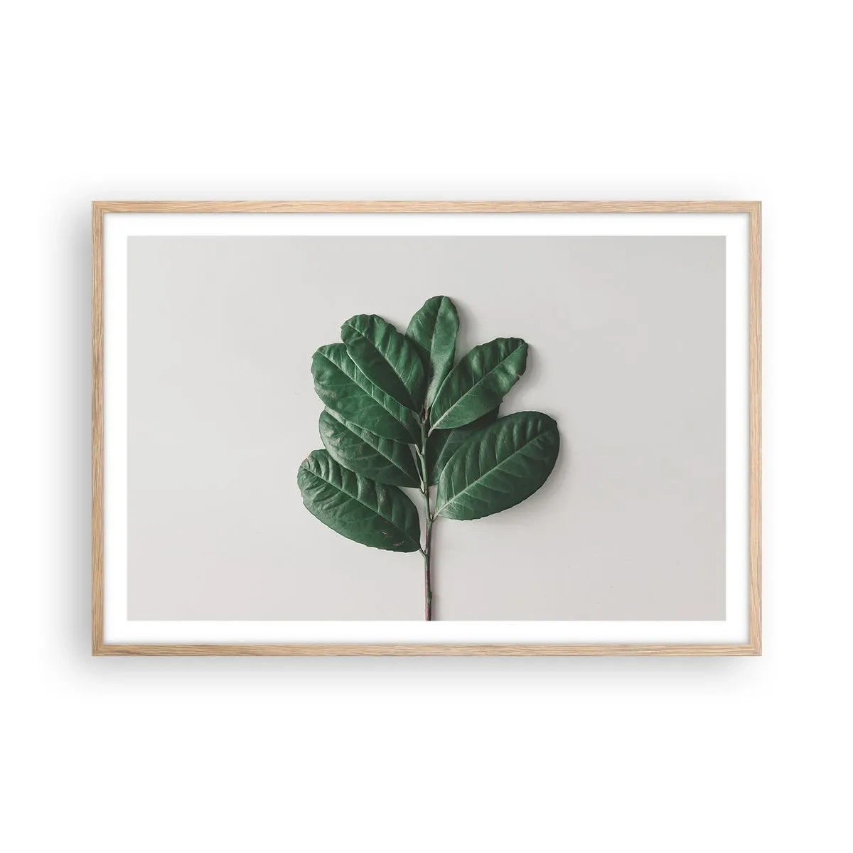 Affisch i ram av ljusek - Själva naturens bild - 91x61 cm