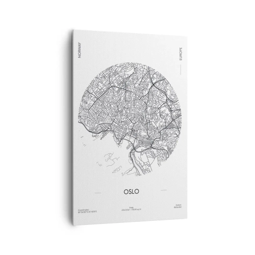 Canvastavla - Bild på duk - Oslos anatomi - 80x120 cm