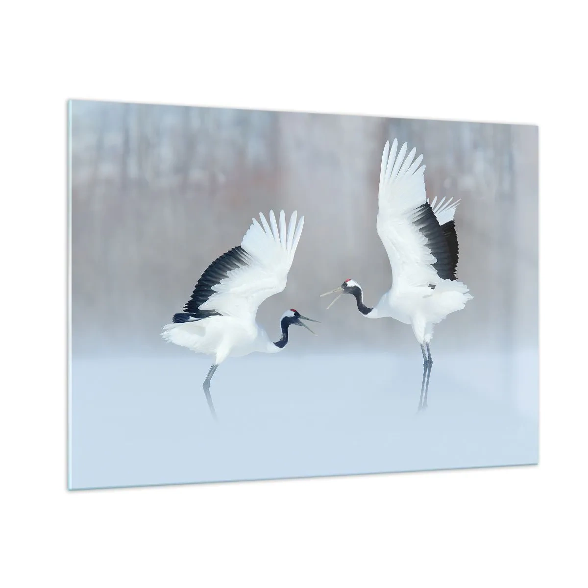 Glastavla - Bild på glas - Dansen i dimman - 100x70 cm