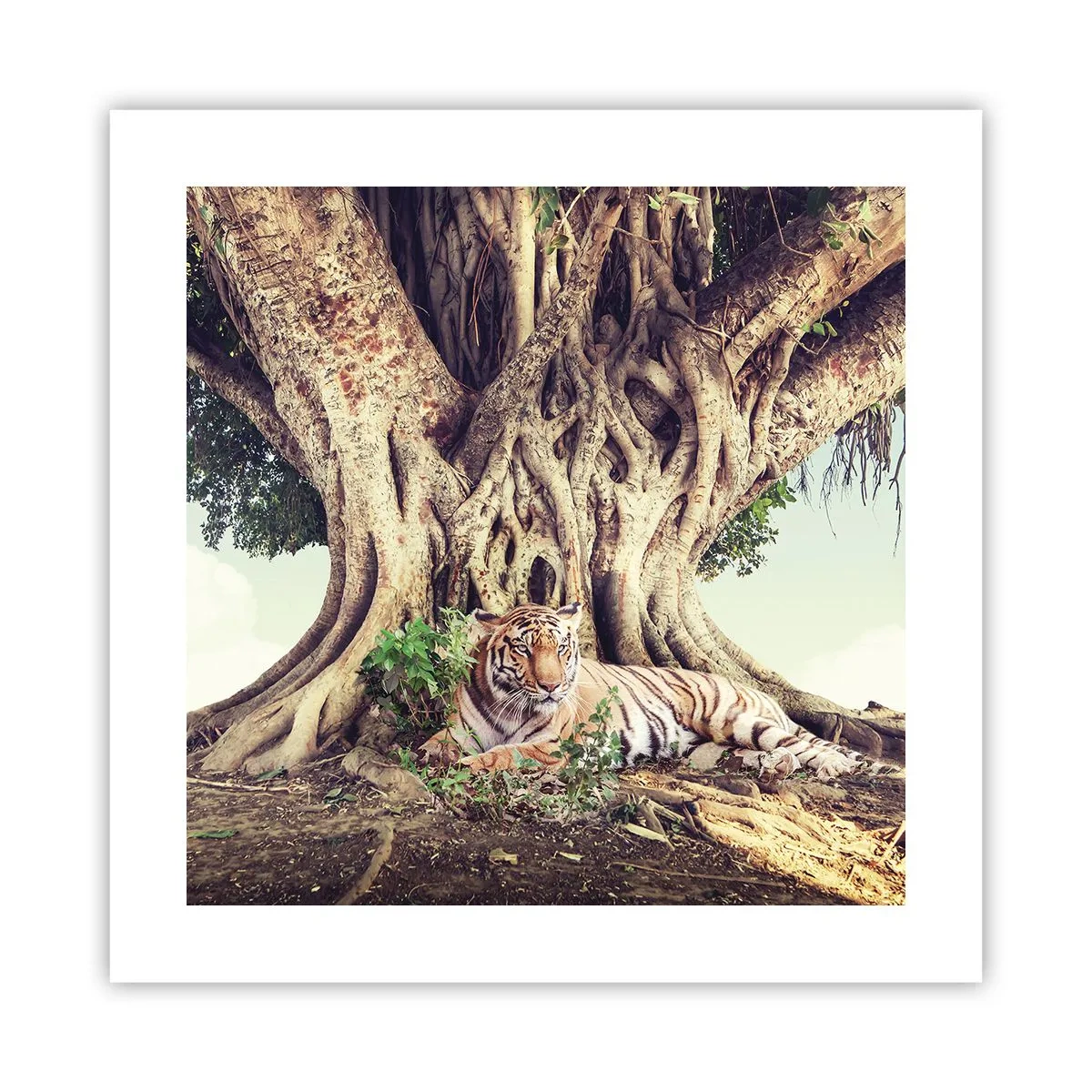 Affisch - Vi från Första Moseboken - 40x40 cm