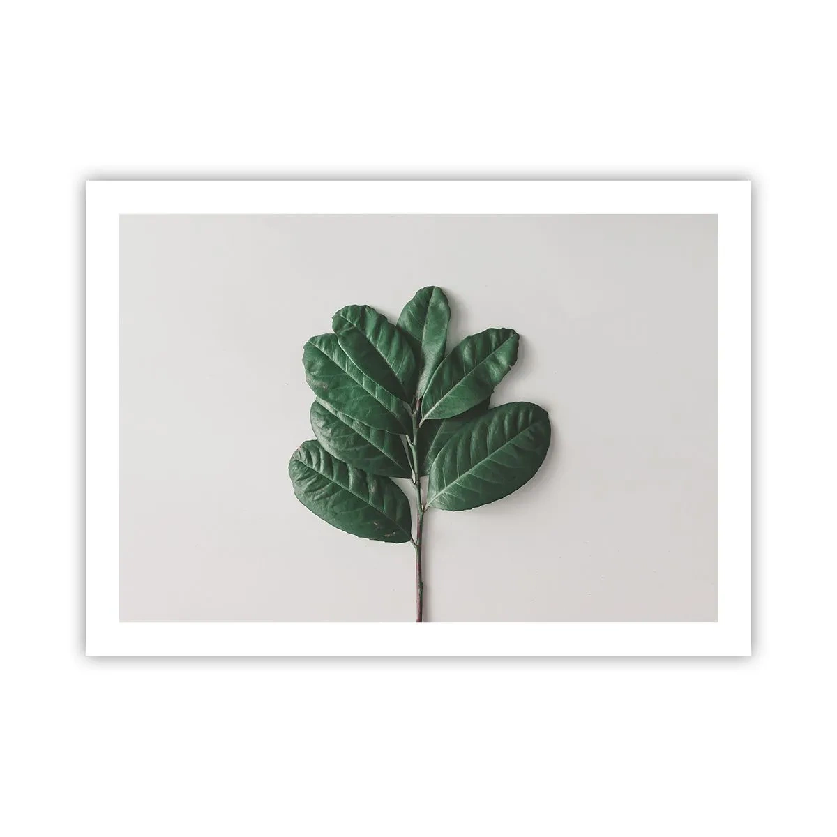 Affisch - Själva naturens bild - 70x50 cm