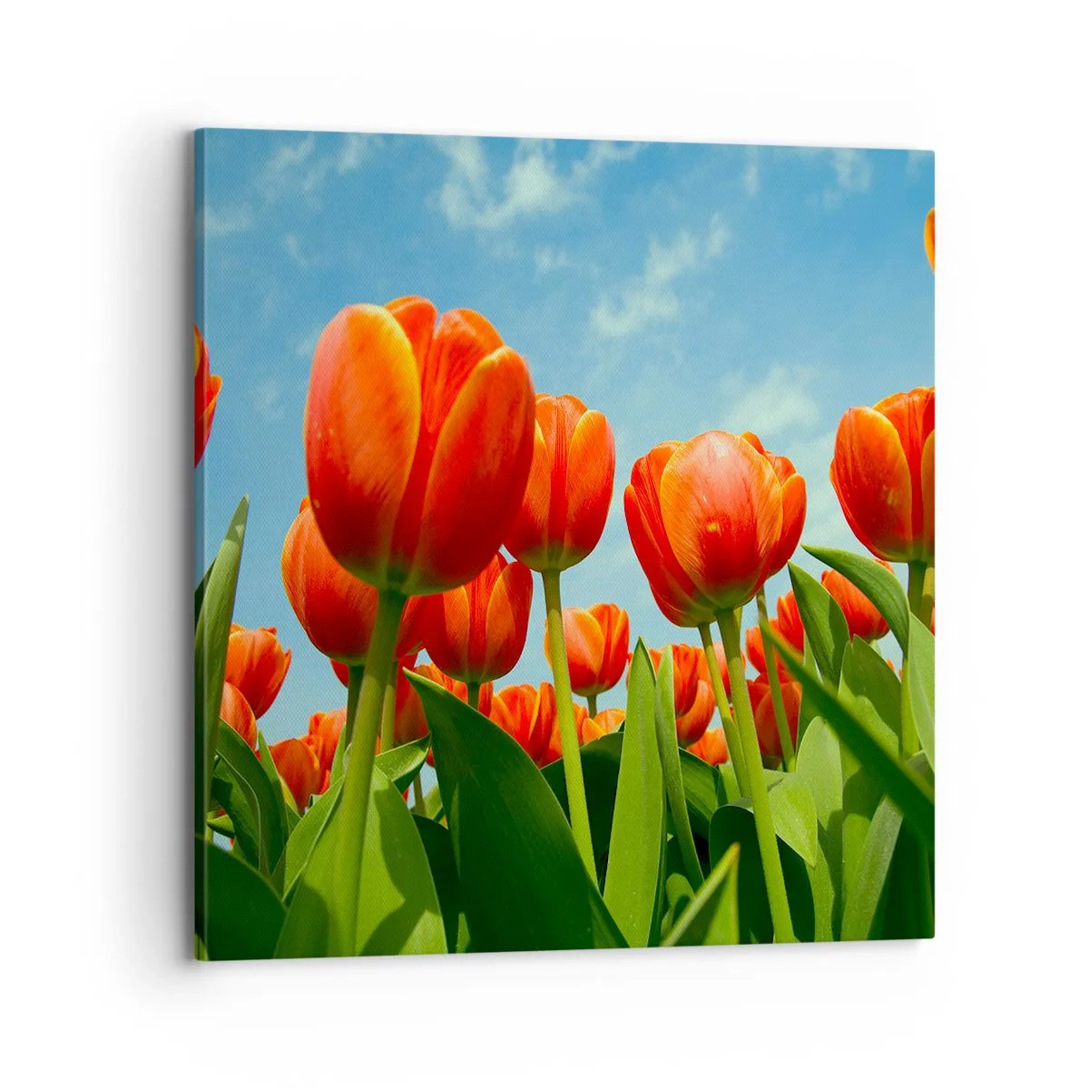 Canvastavla - Bild på duk - Förutom blå himmel behöver vi inget annat i livet - 70x70 cm
