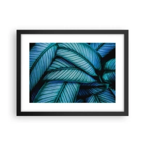 Affisch i svart ram - Livslinjer - 40x30 cm