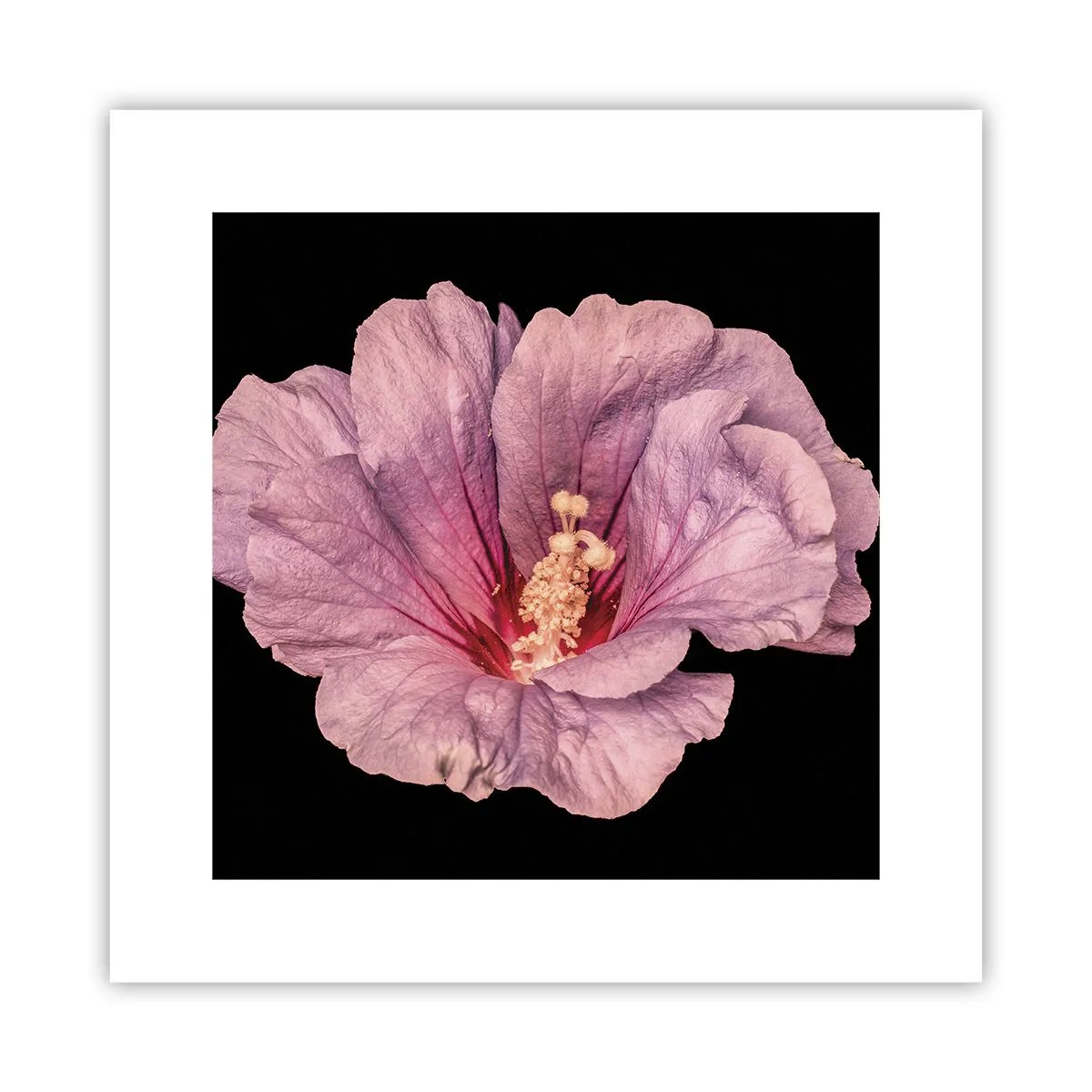 Affisch - Rakt till hjärtat - 30x30 cm