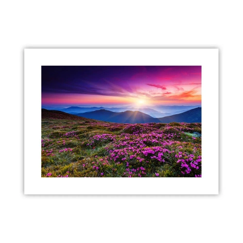 Affisch - Doftande örter - 40x30 cm