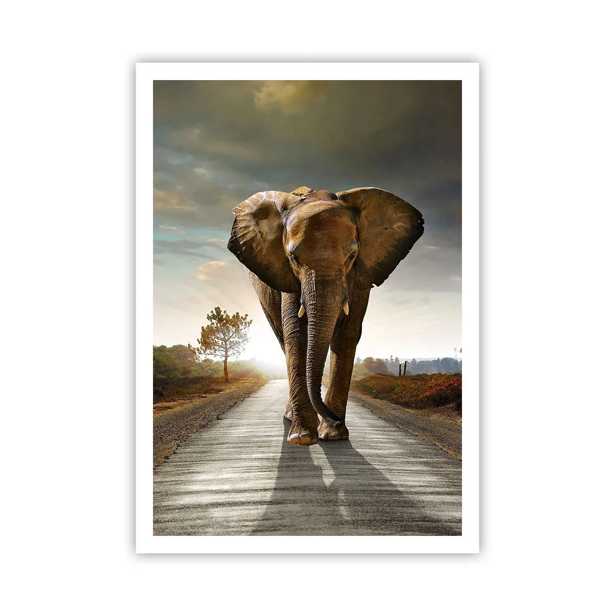 Affisch - Inte alls i en porslinsbutik - 70x100 cm