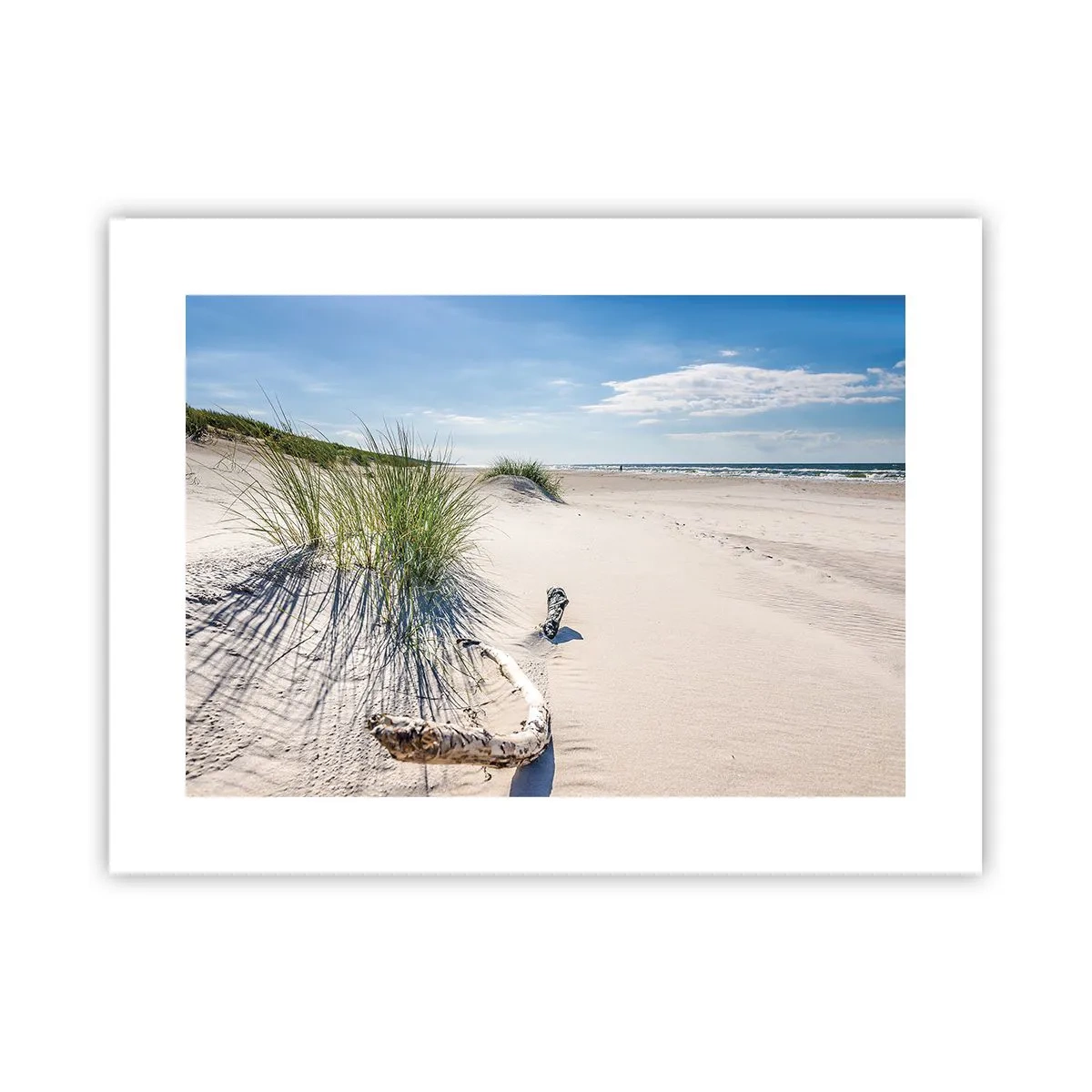 Affisch - Vackrast? Östersjöstrand - 40x30 cm