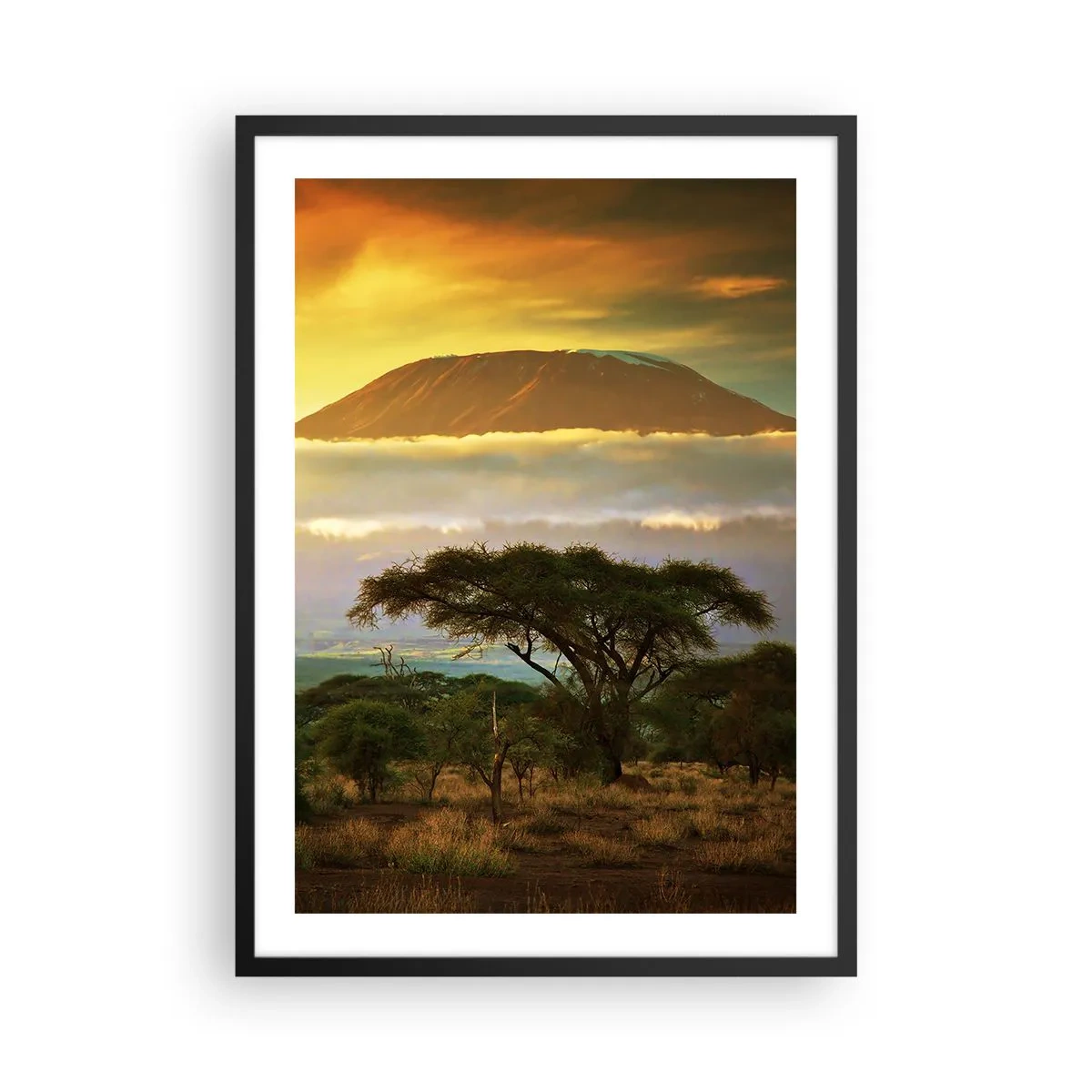 Affisch i svart ram - Kilimanjaro vid solnedgången i den afrikanska savannen - 50x70cm - Resenärens dröm - Modern väggdekoration för vardagsrum och sovrum ARTTOR