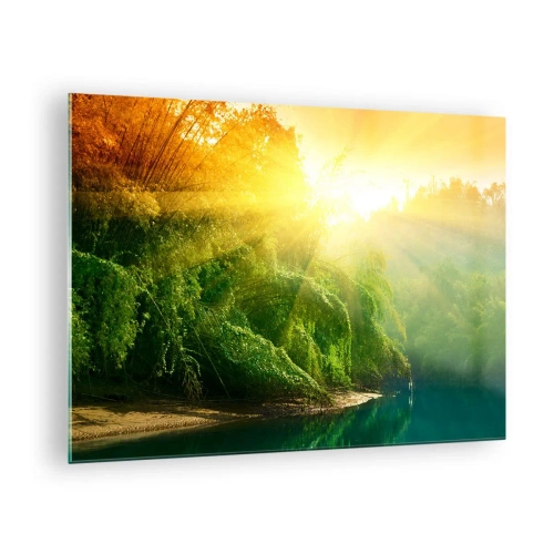 Glastavla - Bild på glas - Solstrålar över den gröna vegetationen vid floden - 70x50cm - Sjunka i solen och skuggan - Modern väggdekoration för vardagsrum och sovrum ARTTOR