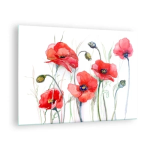 Glastavla - Bild på glas - Akvarell röd vallmo på vit bakgrund - 70x50cm - Polska blommor - Modern väggdekoration för vardagsrum och sovrum ARTTOR