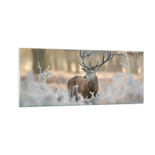 Glastavla - Bild på glas - Uppfriskande morgon - 100x40 cm