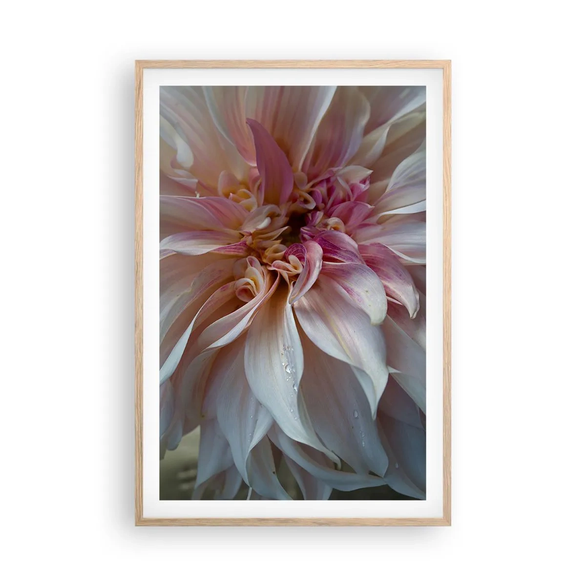 Affisch i ram av ljusek - Blommande friskhet - 61x91 cm