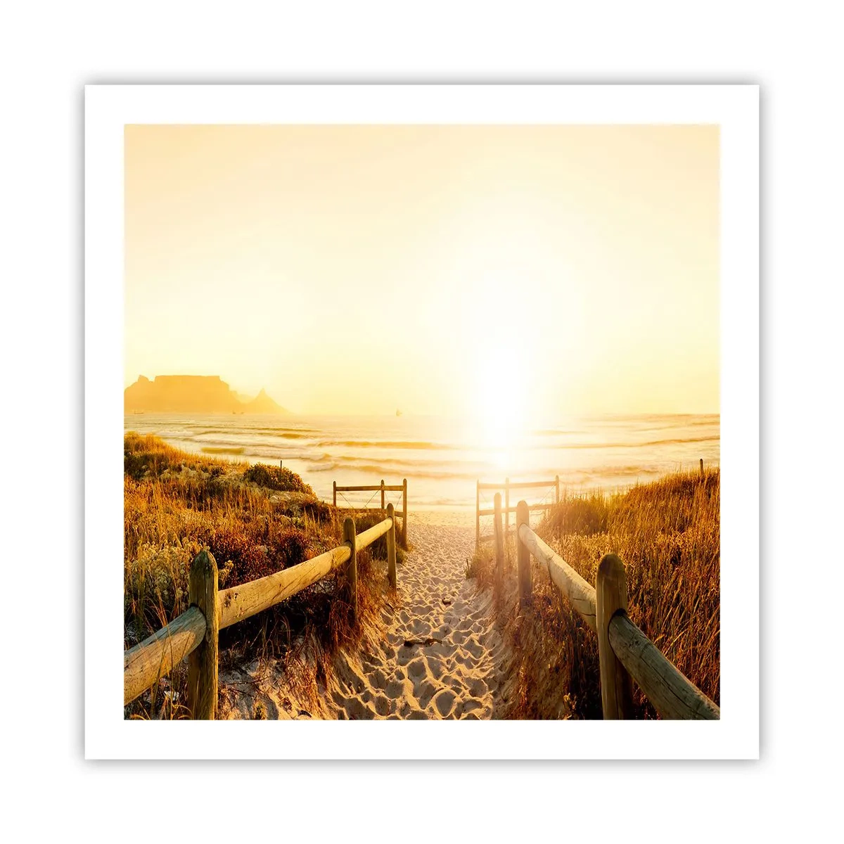 Affisch - Genom sanddynan mot solen - 60x60 cm
