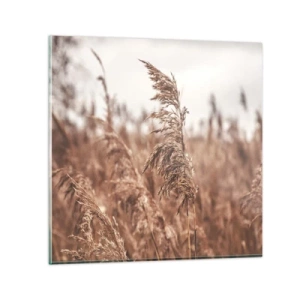 Glastavla - Bild på glas - Hösten är framme på åkrarna - 40x40 cm
