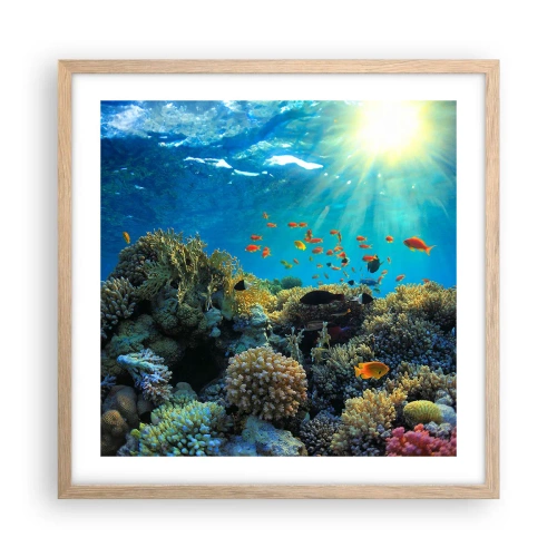 Affisch i ram av ljusek - Undervatenskatter - 50x50 cm