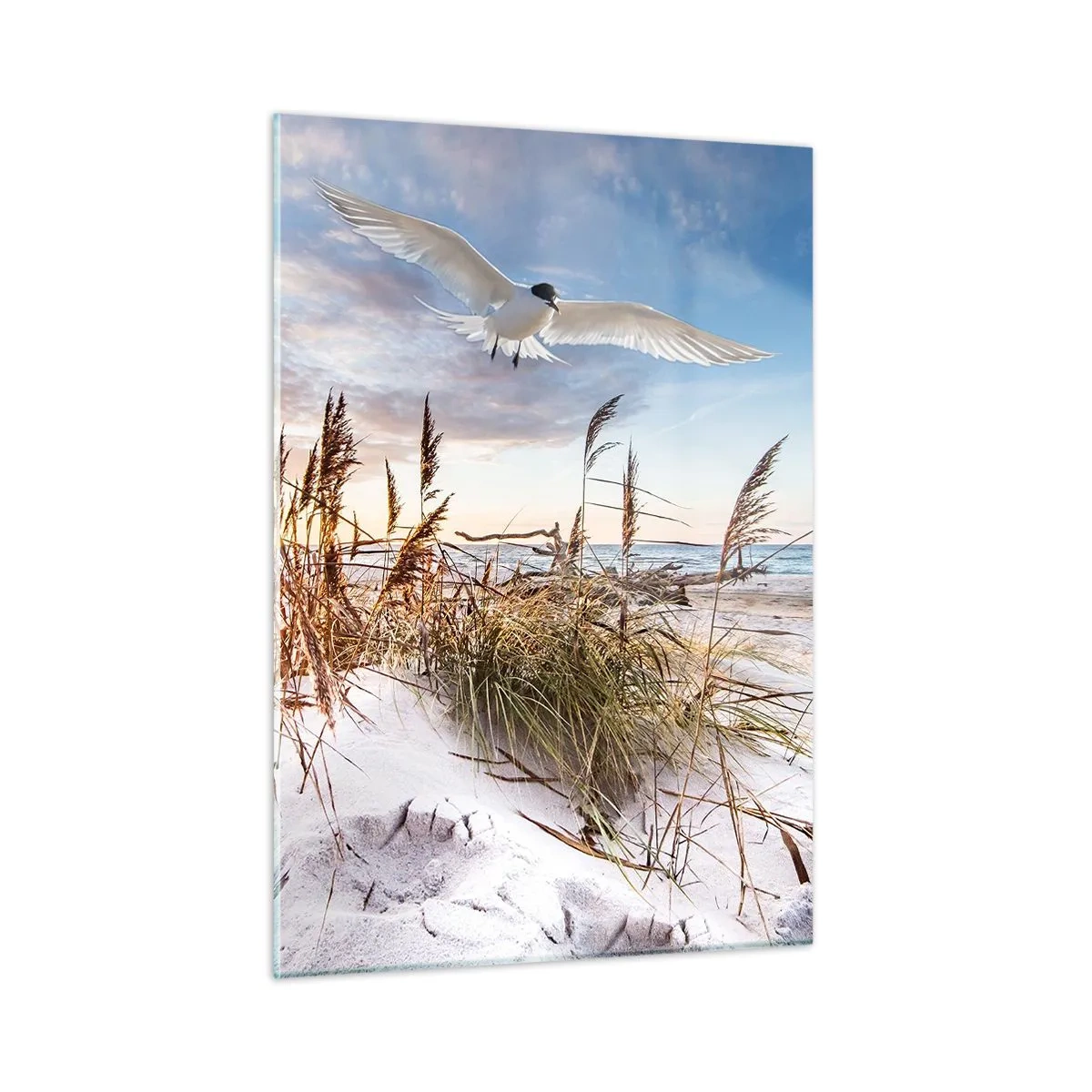 Glastavla - Bild på glas - Vind från havet - 50x70 cm