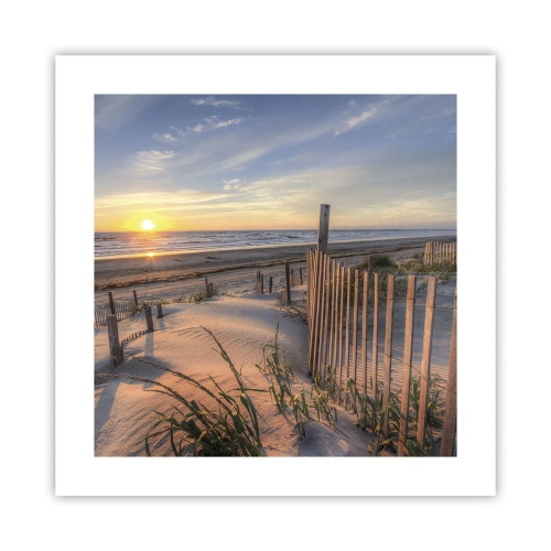 Affisch - Vindens sken och skugga - 40x40 cm