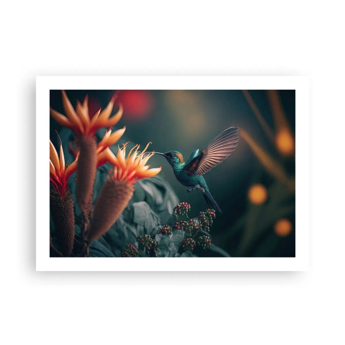 Affisch - Ett verkligt färgglatt liv - 70x50 cm