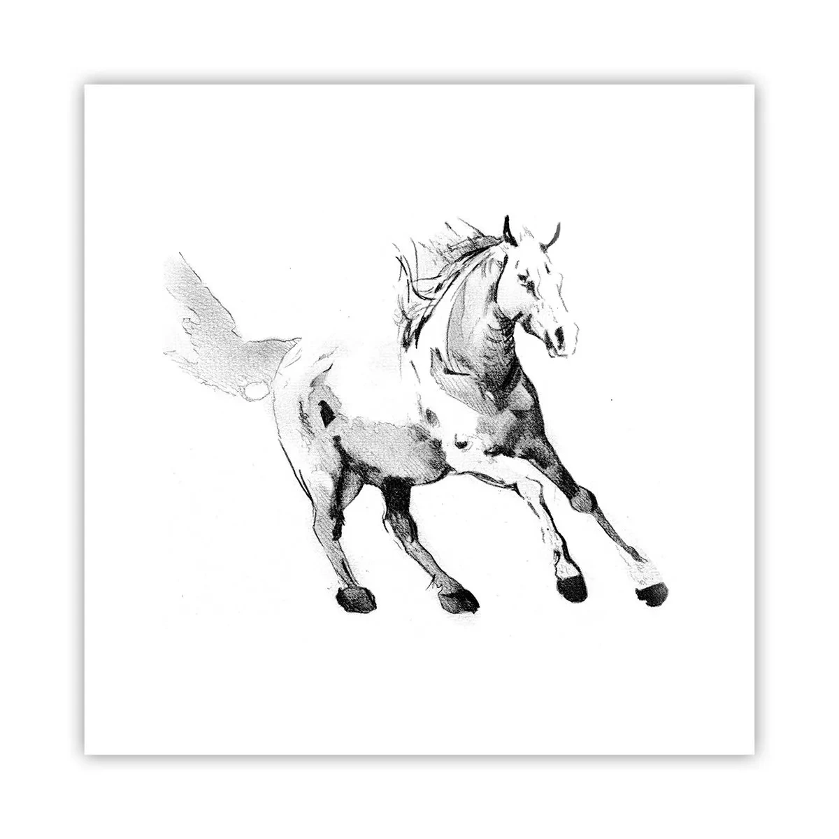 Affisch - Obändig själ - 30x30 cm