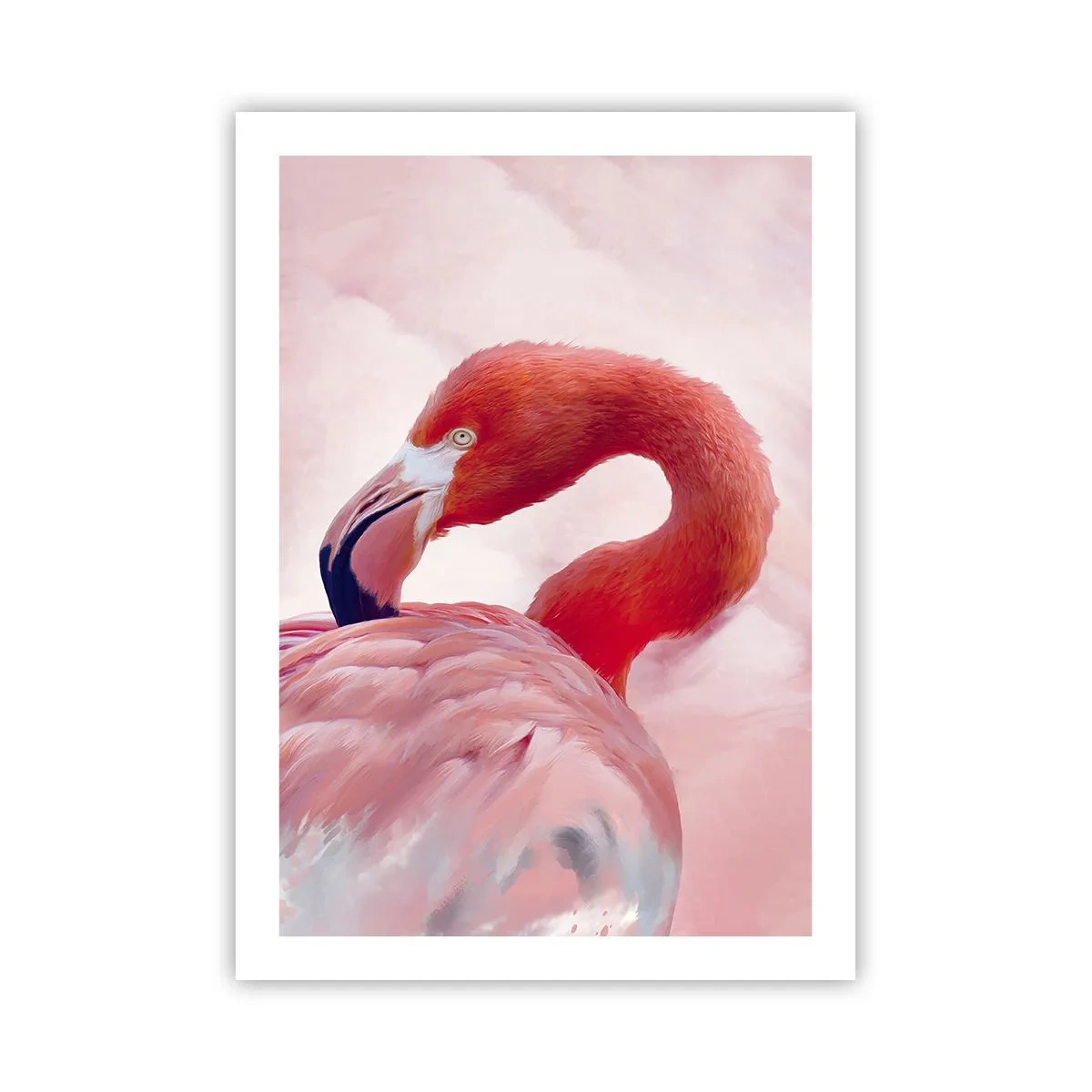 Affisch - Fågelns skönhet - 50x70 cm