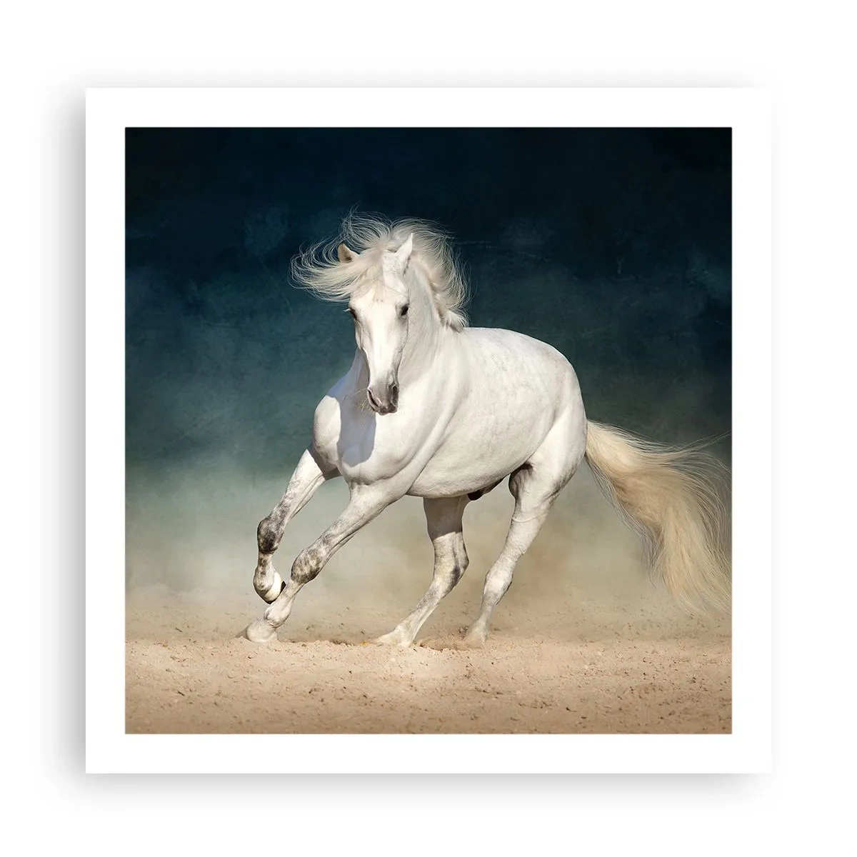 Affisch - Frihet i ett rent tillstånd - 60x60 cm