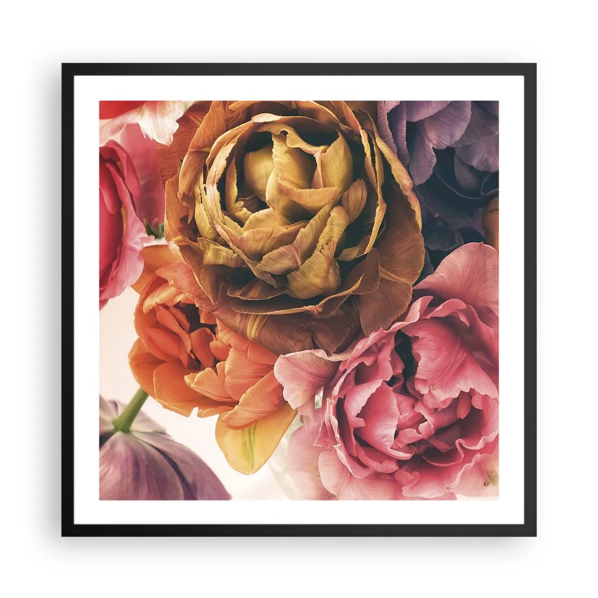 Affisch i svart ram - Livets högtid - 60x60 cm