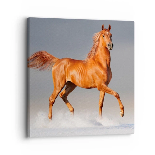 Canvastavla - Bild på duk - Dansande grace - 30x30 cm