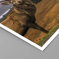 Utan ram