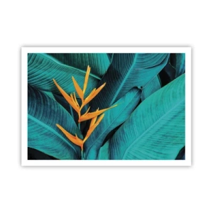 Affisch - Edens blomma - 100x70 cm