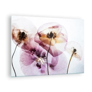 Glastavla - Bild på glas - Fina blommor i transparenta pastellfärger mot en ljus bakgrund - 70x50cm - Blommornas transparenta kroppar - Modern väggdekoration för vardagsrum och sovrum ARTTOR